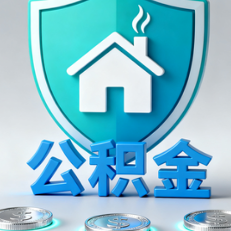 舒兰公积金代办行业观察：谁在提供专业服务？